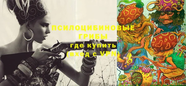 COCAINE Каменка
