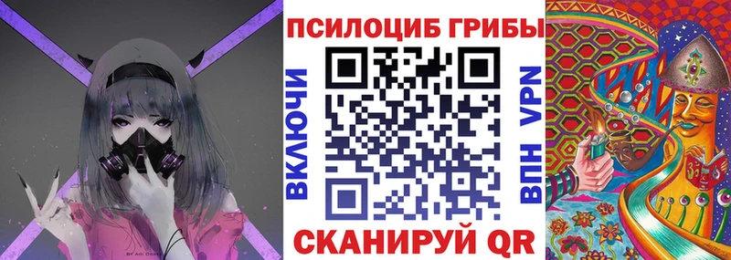 mega зеркало  Элиста  Галлюциногенные грибы Cubensis 